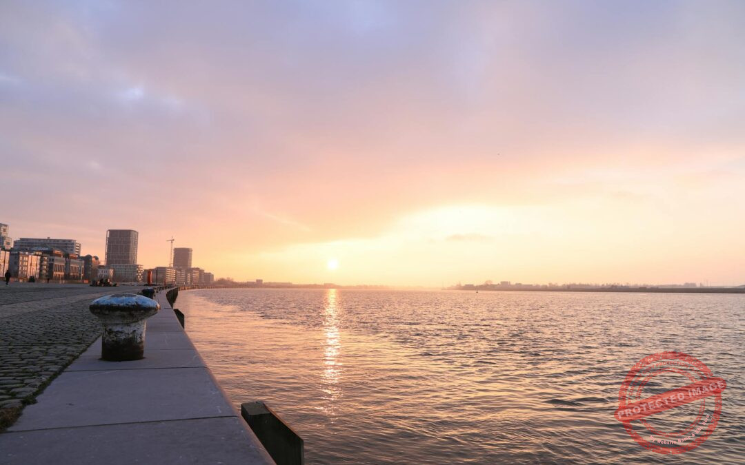 Streik lähmt die Schifffahrt in Antwerpen